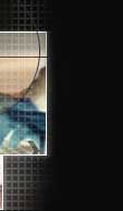 Web Design Services